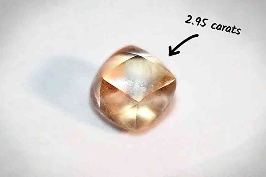 7歲女童遊公園慶生 幸運撿到2.95卡鑽石