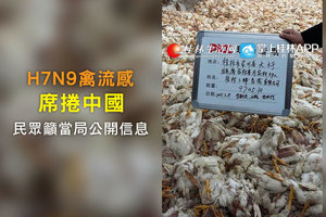 H7N9禽流感席捲中國 民眾籲當局公開信息