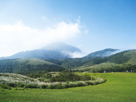 徜徉在歷史與美景之間 陽明山冷擎步道