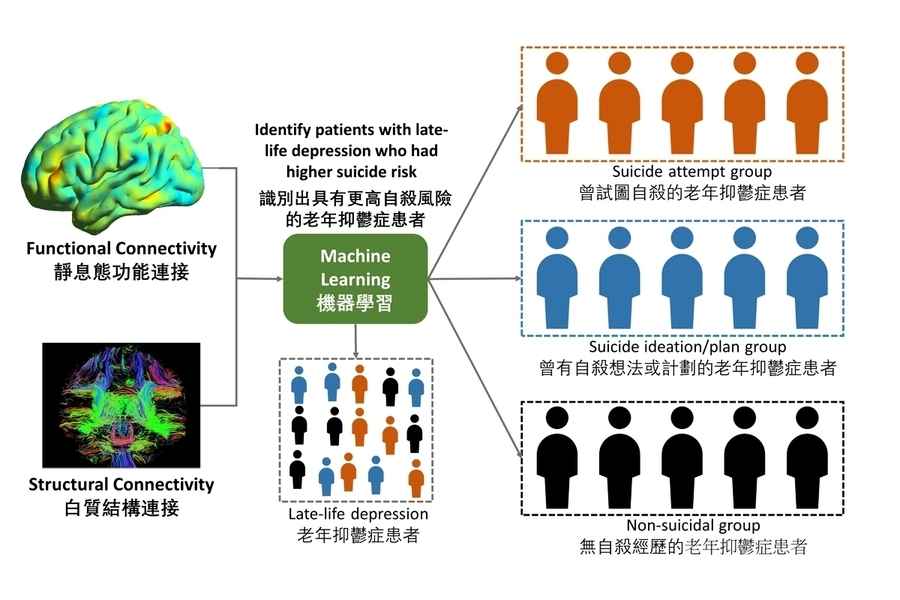 港大：腦連接模式預測老年抑鬱患者自殺風險