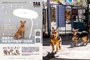 保護遺棄動物協會：受發展計劃影響 正籌建新址