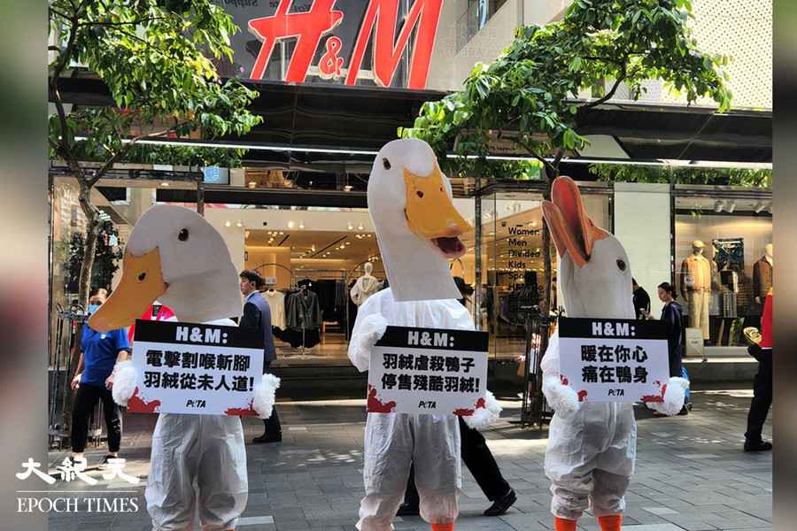 團體抗議殘酷方式生產羽絨 籲H&M割席