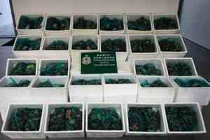 海關檢6400隻走私大閘蟹 市值約39萬