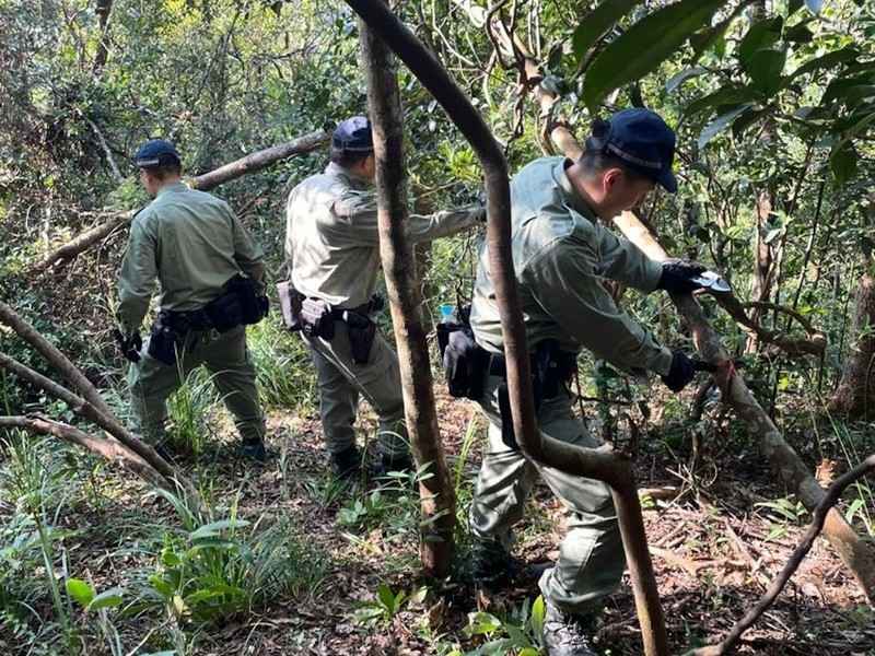 將軍澳山林現絲帶標記 疑謀踩線爆竊 警移除