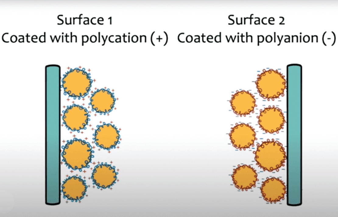 水基靜電黏合劑的陰陽兩面示意圖，左面為聚陽離子，右面為聚陰離子。（英國紐卡素大學官網影片截圖）