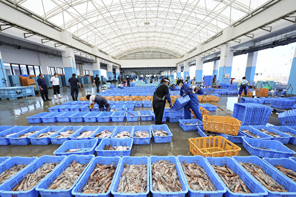 中共禁日本海產品再遭反噬 越南成受益國