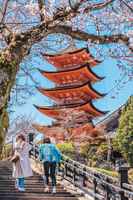 嚴島神社──廣島宮島上的世界遺產