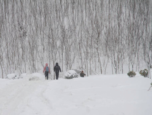 寒流席捲中國30個氣象站突破歷史極值