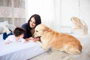 醫生提出警告 不要和小狗同床而睡