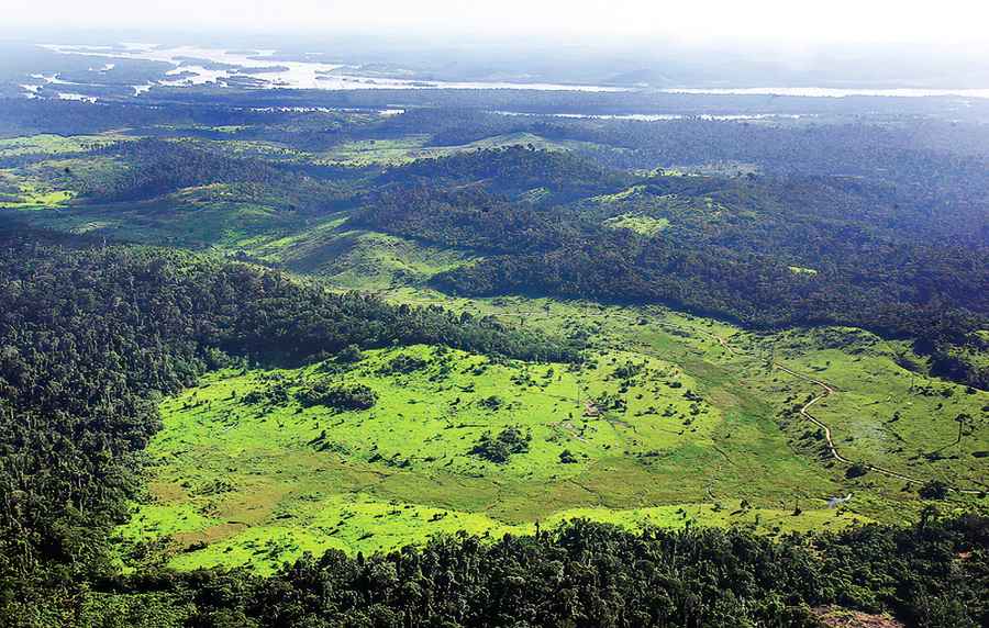 亞馬遜雨林發現2500年前「花園古城」