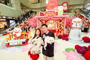 新年好去處|4米高「肥喵祈福神社」坐陣上水廣場