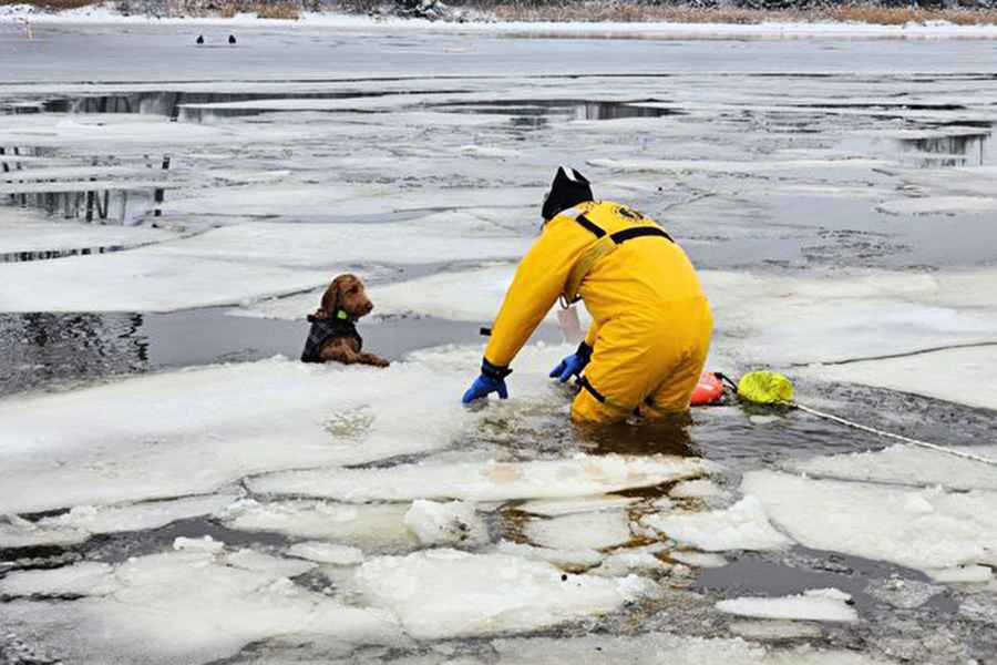 小狗受困結冰河面 美國麻州消防隊員搭救