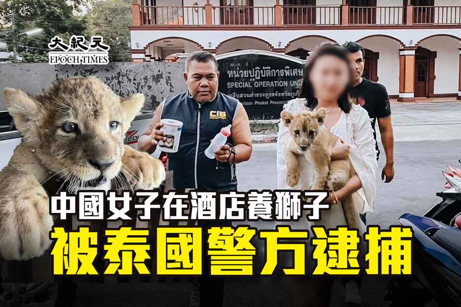 中國女子在酒店養獅子 被泰國警方逮捕
