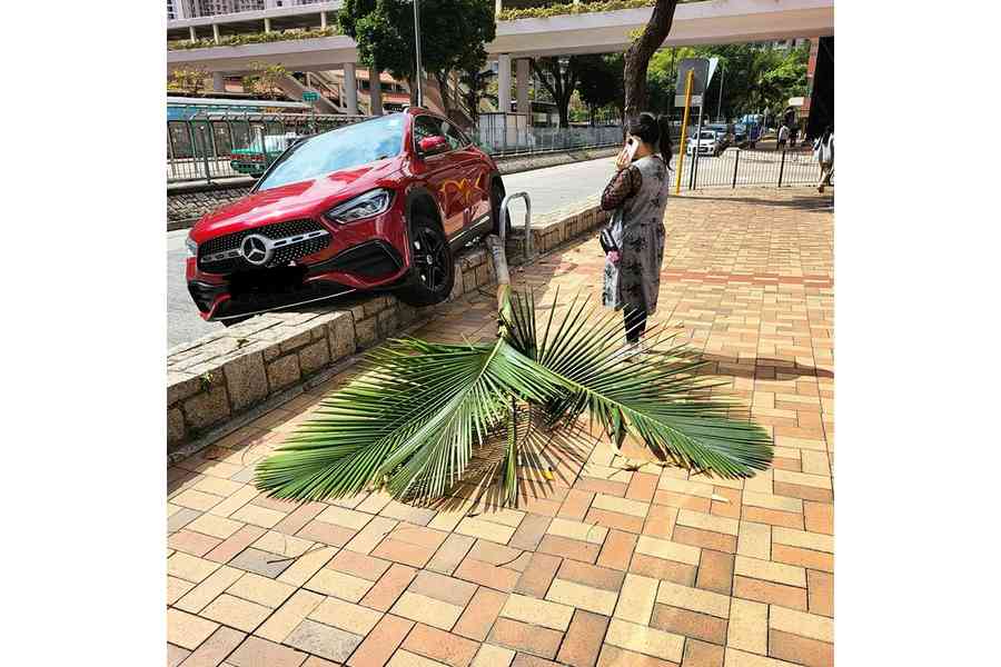 疑因倒瀉咖啡嚇親扭軚 私家車剷上壆撞低樹