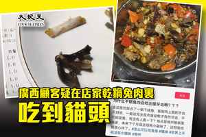 廣西顧客疑在店家乾鍋兔肉裏吃到貓頭