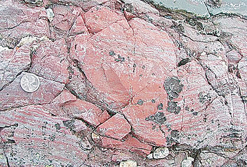 科學家在哈德遜灣海岸發現早期微生物化石。（官方圖片）