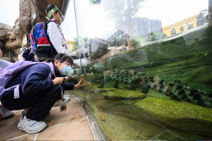 海洋公園「鱷園」今起免費開放