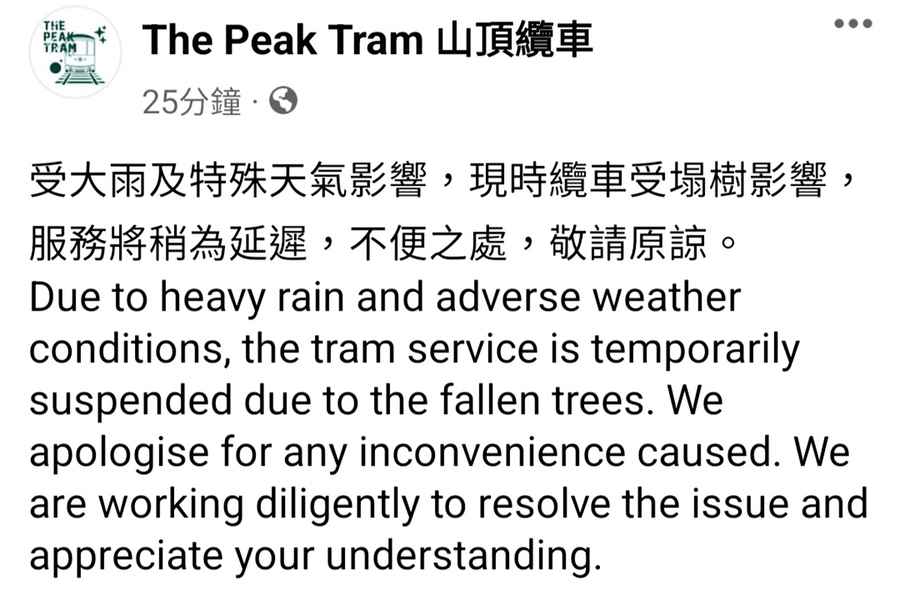 山頂白加道站大樹倒塌 纜車服務暫停