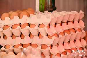 美國部份地區爆H5N1 禽肉及禽類產品暫停進口