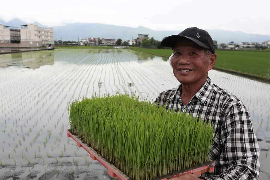 習引新詞「大食物觀」  民熱議