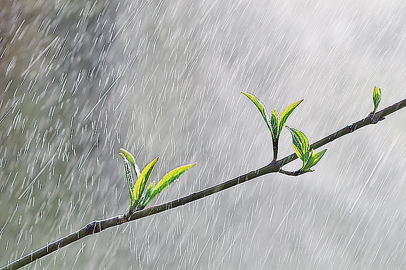 雨後空氣清新竟在傳播細菌