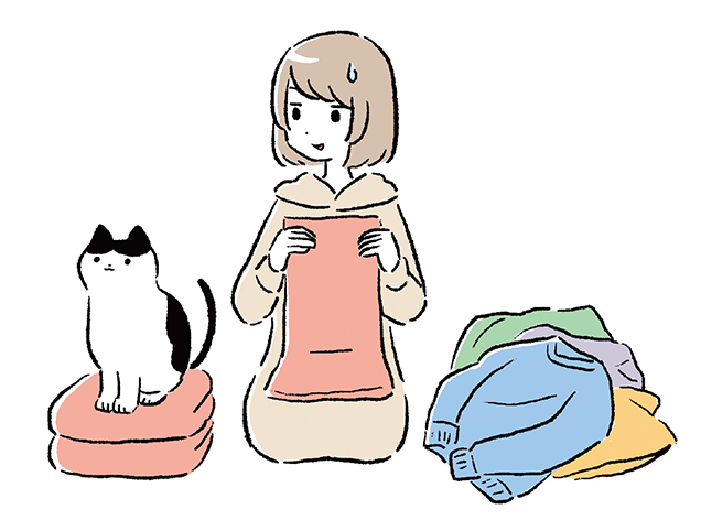 貓行為解讀：老愛坐在洗好的衣服 或鍵盤上