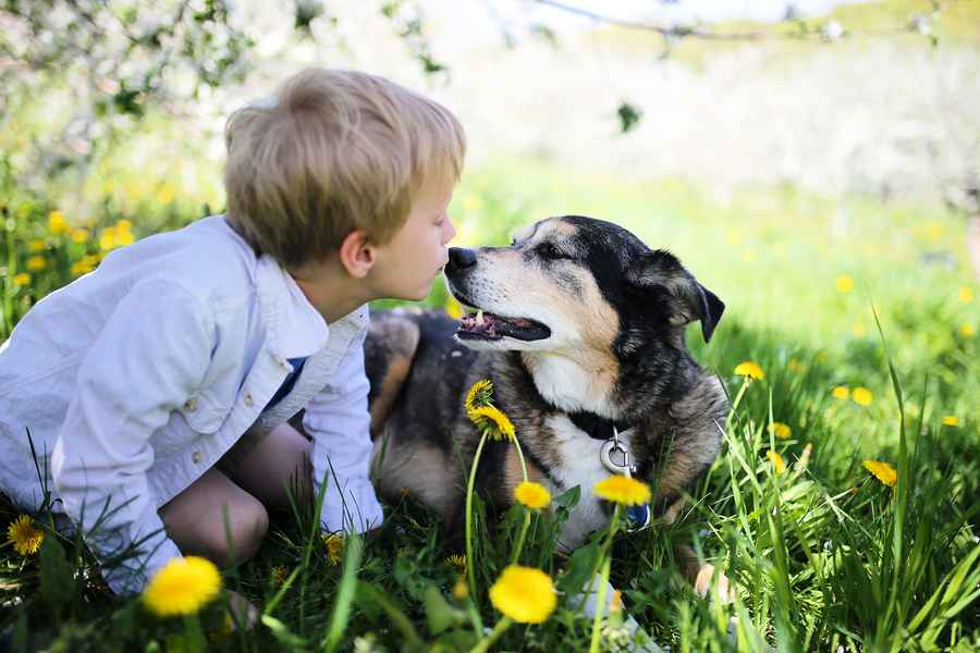 應該讓小狗 舔你的臉嗎？專家解析風險