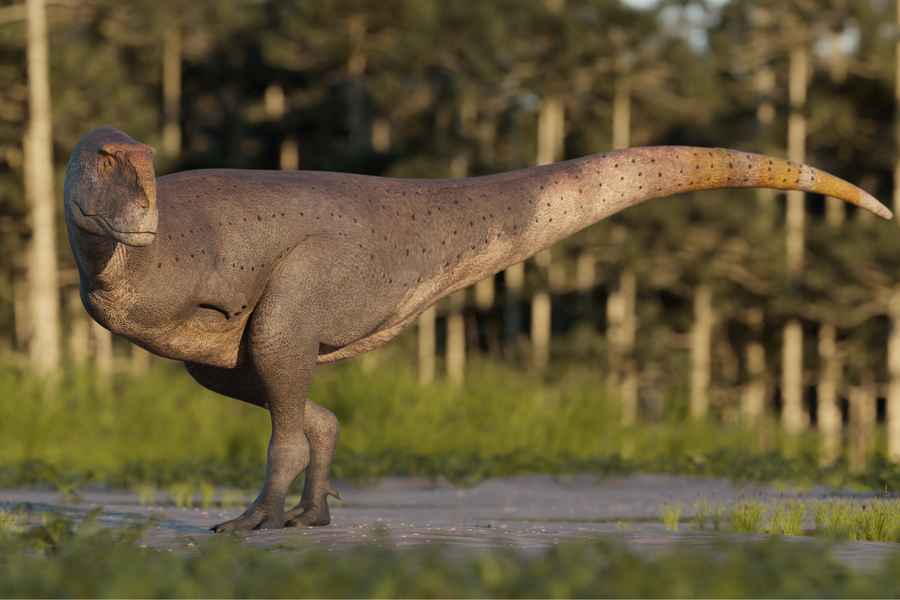 中大與國家地理雜誌團隊發現新恐龍品種