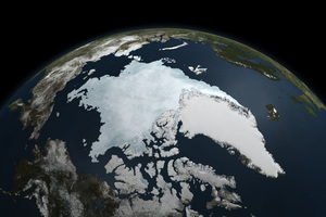 研究：北極海冰流失 半數或歸因自然變化