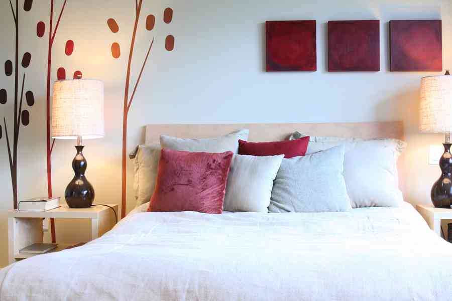 健康掃除力「不生病打掃法」：塵蟎灰塵篇