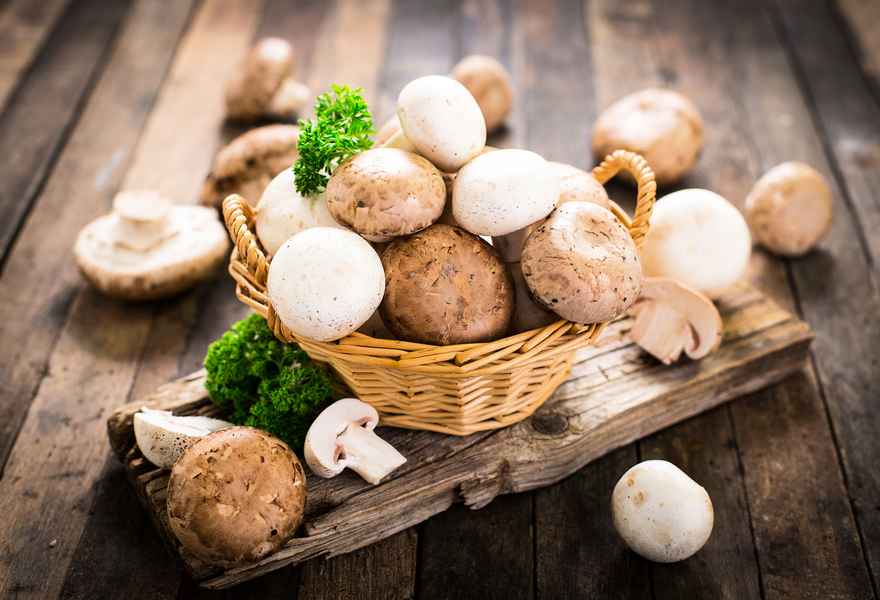 超級食品蘑菇 研究發現還有一大好處