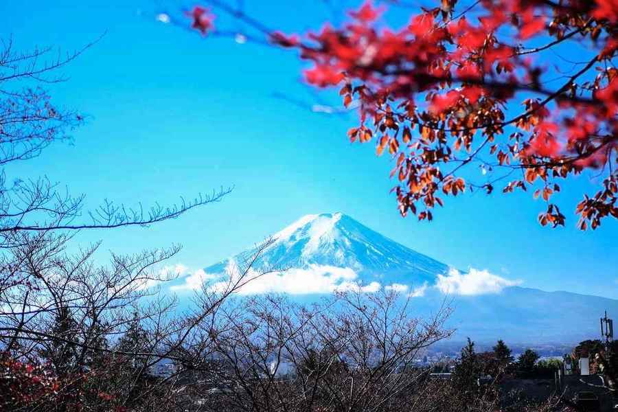 58歲港人登富士山途中死亡 專家：或攀登過程無充份休息