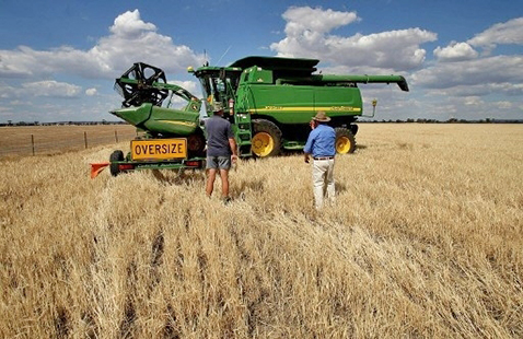 涉操控小麥期貨價格 中糧澳洲公司遭指控