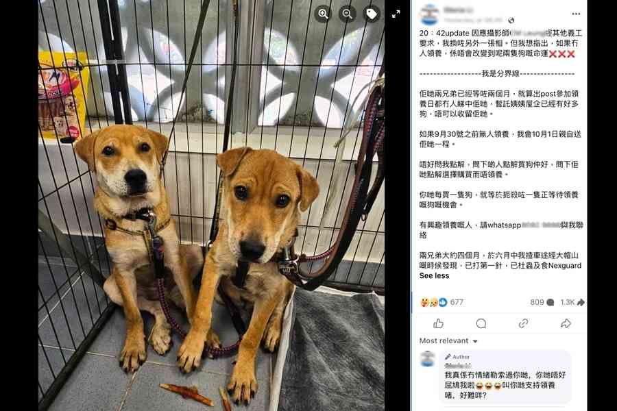 狗義工定領養死線揚言「送佢哋一程」捱批