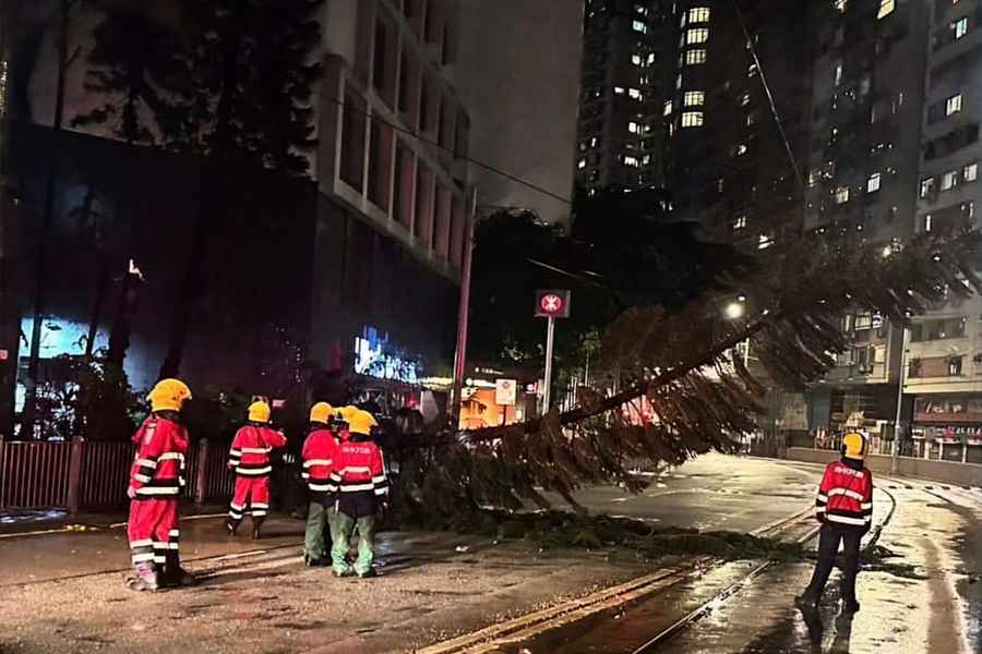 摩羯襲港｜截至中午9人受傷 119宗塌樹 