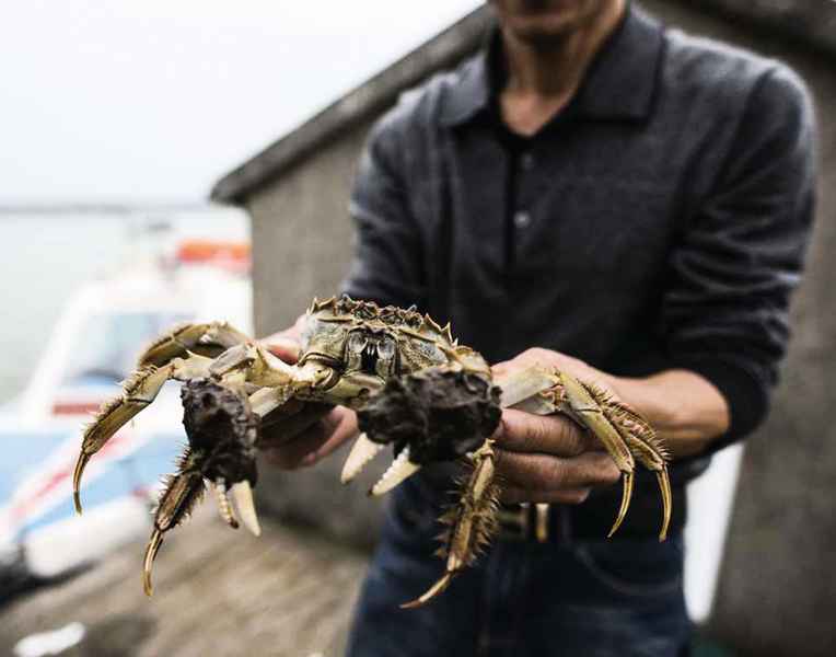 中國多地大閘蟹 十一長假後價格大跌超三成