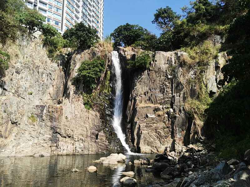 非華裔女倒斃瀑布灣公園 身分待確認