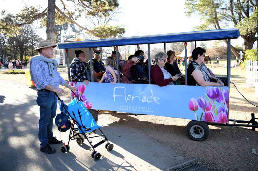澳洲人均壽命連降兩年 首都領地最長壽