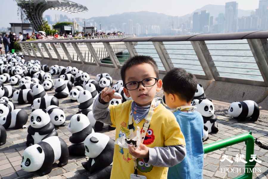 「PANDA GO！香港遊」今登場 2,500隻熊貓雕塑現身星光大道