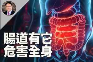 腸道代謝物危害腎臟及大腦 這樣吃可逆轉