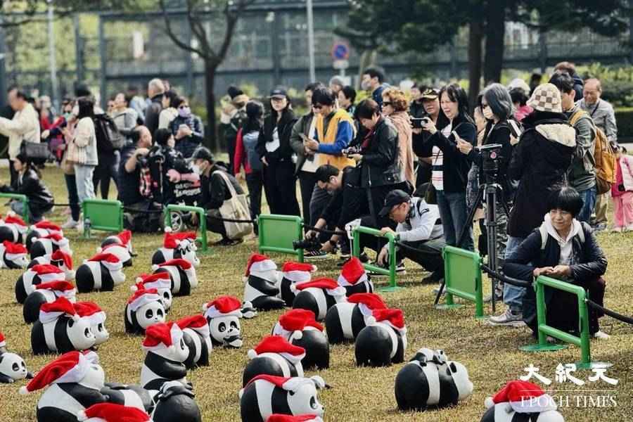 全港最大型熊貓展覽 中山公園最後一站