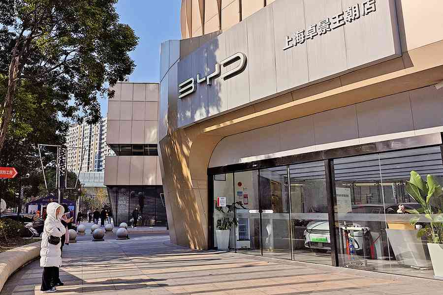 中共調查巴西牛肉 疑報復奴工事件