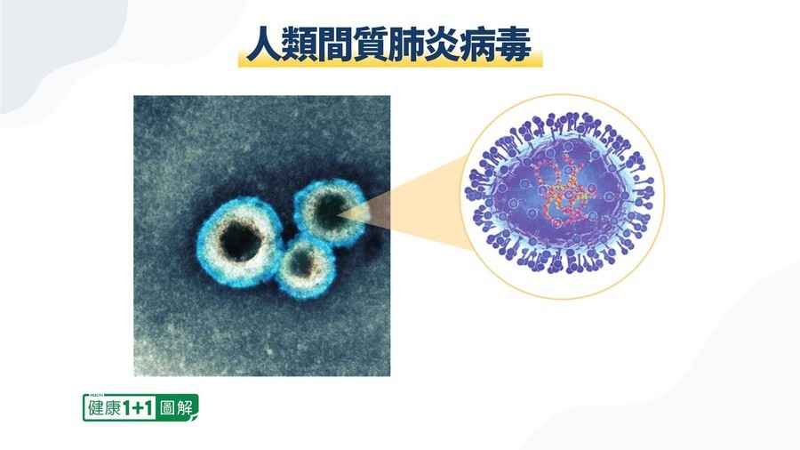 【健康1+1】人偏肺病毒感染高發 病毒專家教你怎樣應對