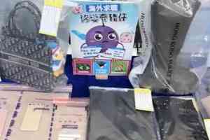 東南亞賣豬仔|32歲本地女涉串謀詐騙被捕