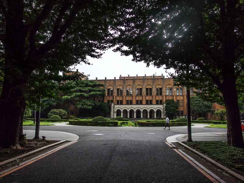 日本東京大學漸「中國化」 原因：高考太競爭、不滿中共