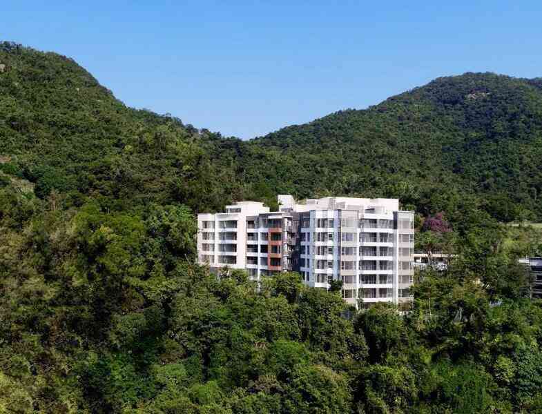 戴德梁行：大埔道383號整體豪宅項目放售 估值約16.8億