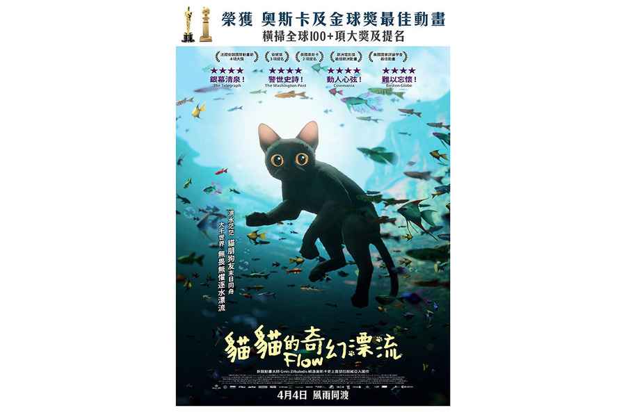 《貓貓的奇幻漂流》香港提早於4月4日上映 加開3月22及23日優先場