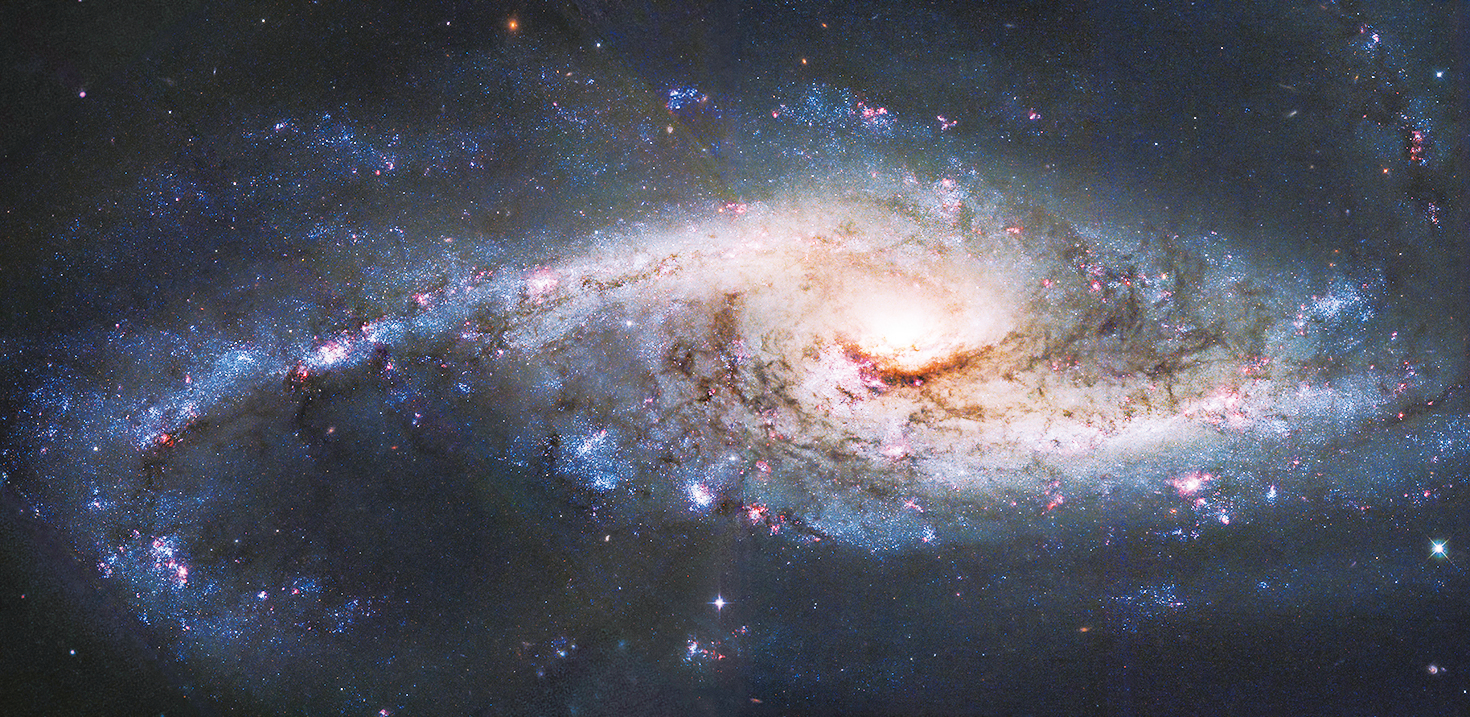 NASA公布Sh2-284星雲圖片新生星體閃閃發光｜大紀元時報香港