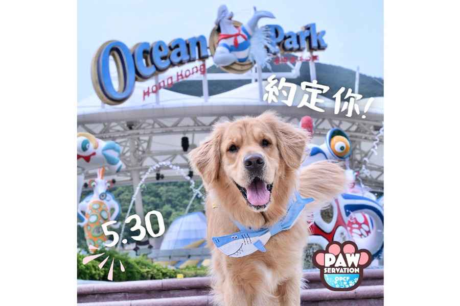 海洋公園保育基金30日舉行「狗狗保育嘉年華」