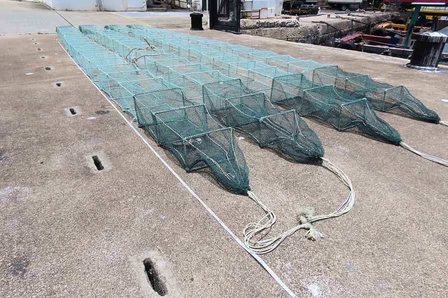 涉違法用蛇籠捕魚 漁護署調查船長與漁工共6人